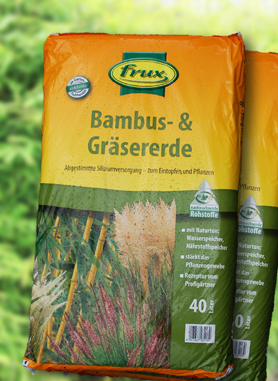 Frux Bambuserde